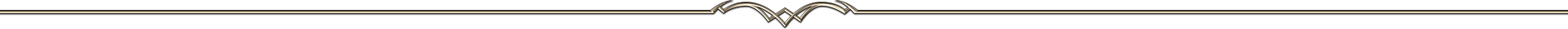 section-decor-bottom